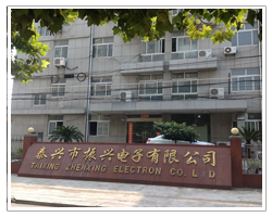 泰興市振興電子有限公司